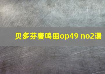 贝多芬奏鸣曲op49 no2谱